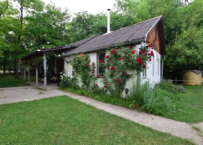 Igricz Farmhaz