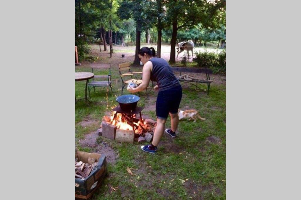 Igricz Farmhaz Case de vacanță