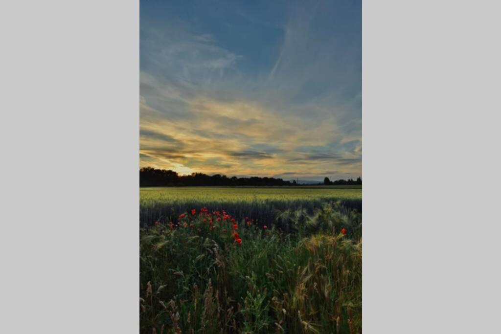 Case de vacanță Igricz Farmhaz *