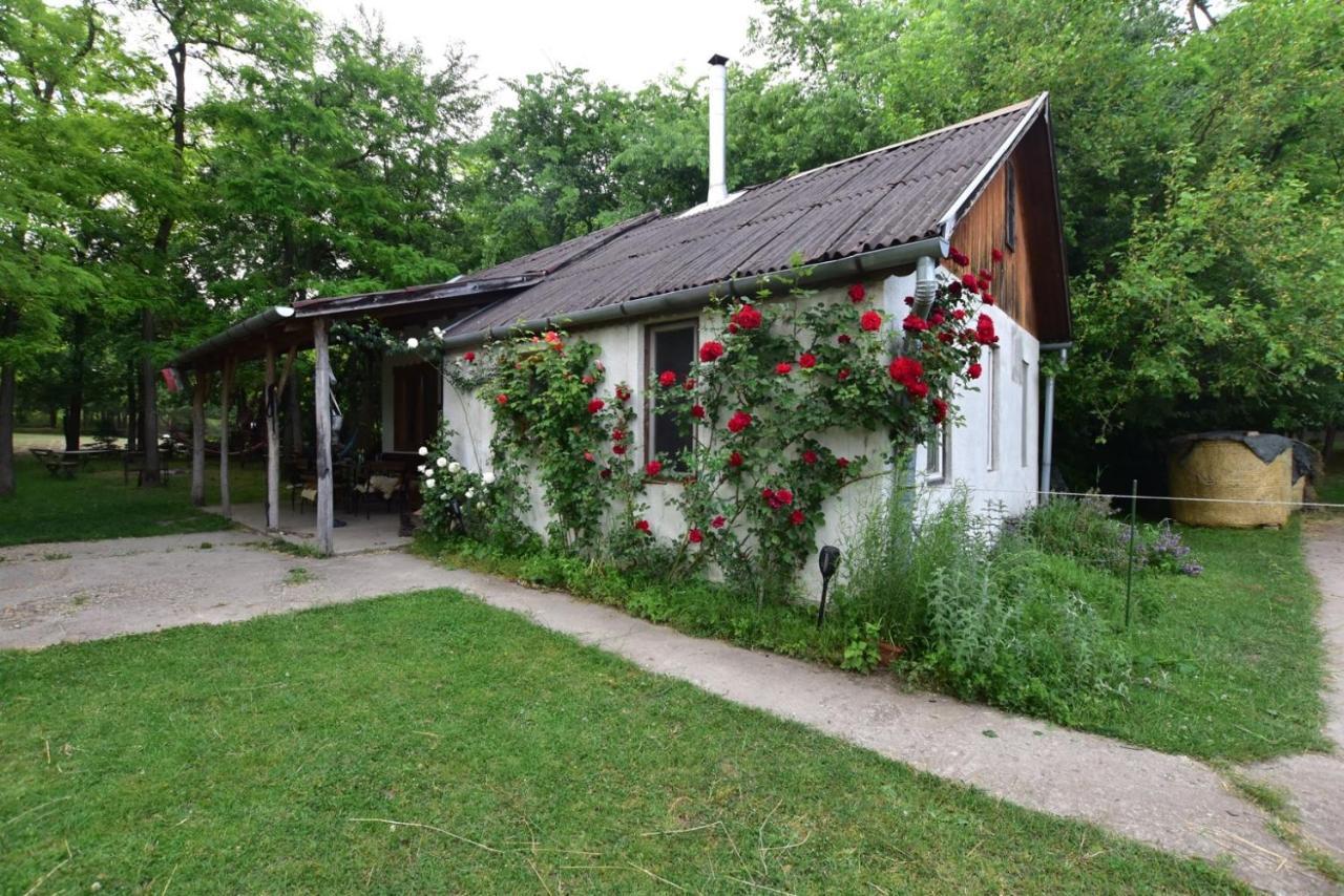 Holiday home Igricz Farmhaz